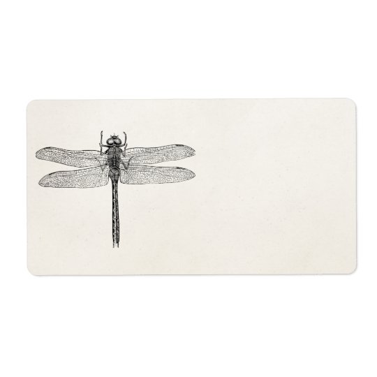 Mall For Fluga For Drake For Vintageamerikanslanda Fraktsedel