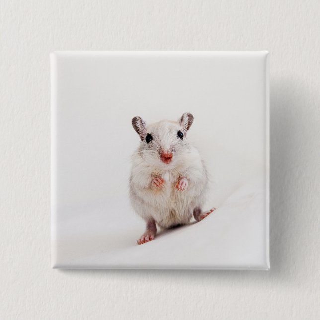 Mall för Gerbils för Gerbilbaby djur gullig Knapp (Framsida)