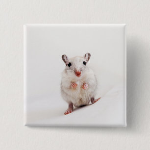 Mall för Gerbils för Gerbilbaby djur gullig Knapp