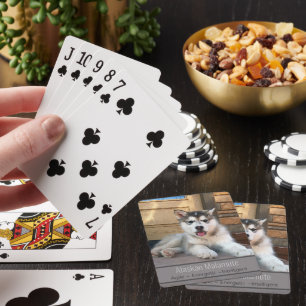 Mall för Hund Cute Alaska Malamute Puppy Casinokort