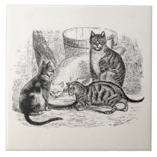Mall för illustration för katt för 1800s för kakelplatta