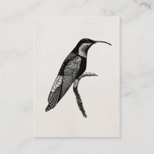 Mall för illustration för vintageHummingbirdfåg Visitkort