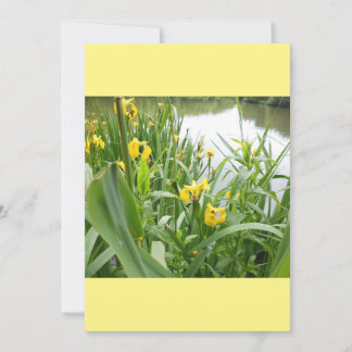 Mall för inbjudningar till anpassadet