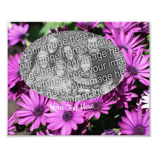 Mall för lila African Daisy Flowers Ram Fototryck (Framsidan)