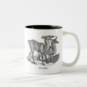 Mall för Llamas för illustration för Två-Tonad Mugg