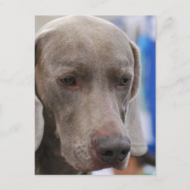 Mall för Lodrät efter vykort - Anpassad (Framsida)