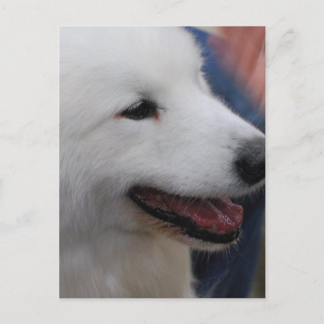 Mall för Lodrät efter vykort - Anpassad (Framsida)