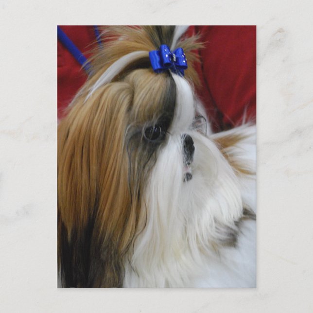 Mall för Lodrät efter vykort - Anpassad (Framsida)