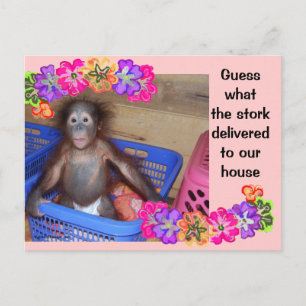 Mall för meddelande om födsel