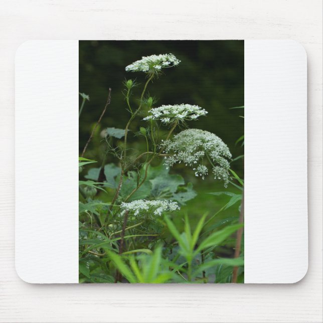 Mall för mousserande musmatta (Framsidan)