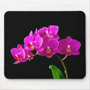 Mall för Orchids för blomma för shock Musmatta