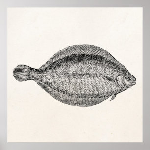 Mall för Personlig av överflödig fisk i vintage Poster