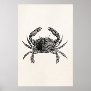 Mall för Personlig av vintage Crab Antique Crabs Poster