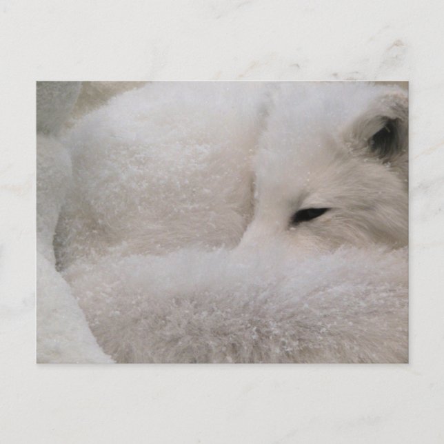 Mall för Vågrät efter vykort - Anpassad (Framsida)