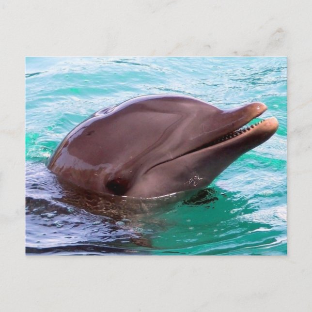 Mall för Vågrät efter vykort - Anpassad (Framsida)