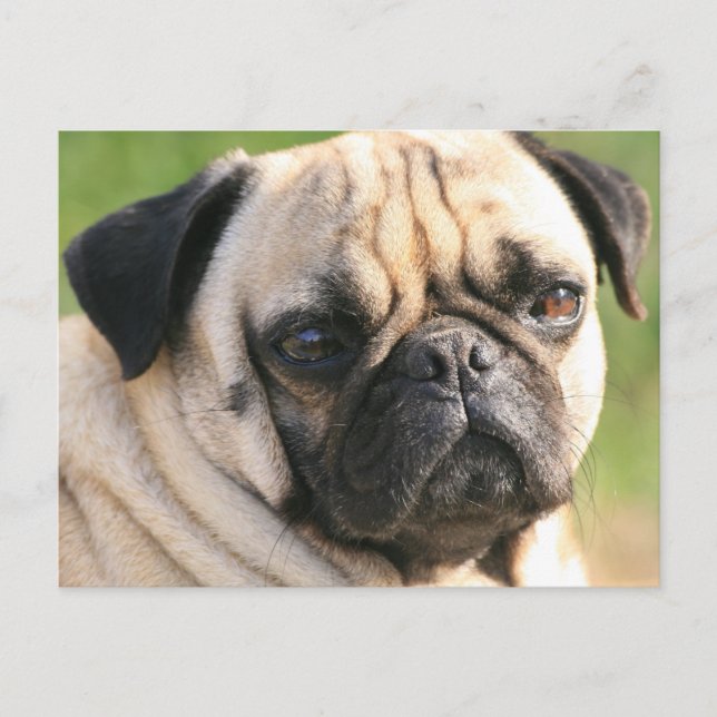 Mall för Vågrät efter vykort - Anpassad (Framsida)