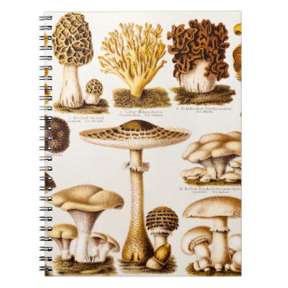 Mall för variation för vintage1800schampinjon anteckningsbok med spiral