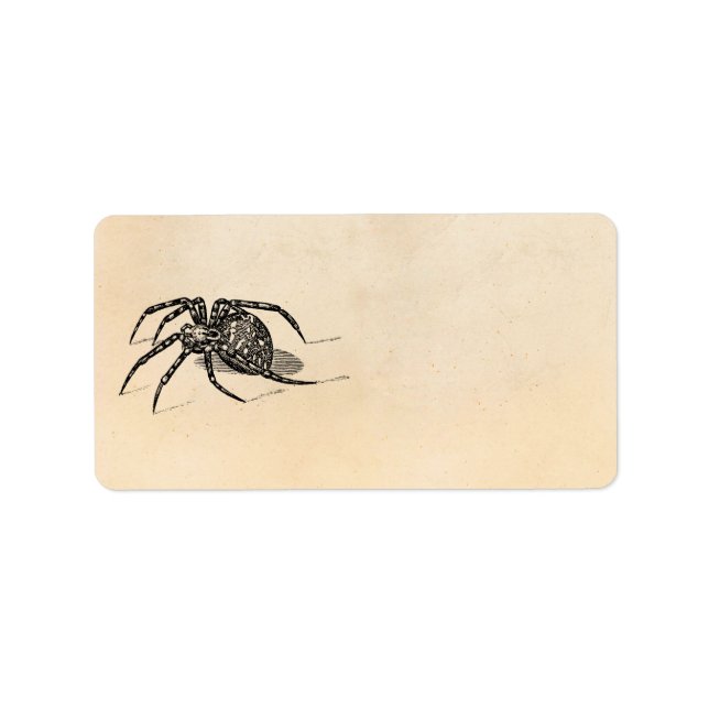 Mall för vintage 1800s för spiderinmatning adressetikett (Framsidan)