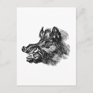 Mall för vintage Vicious Vild Boar w Tusks Vykort