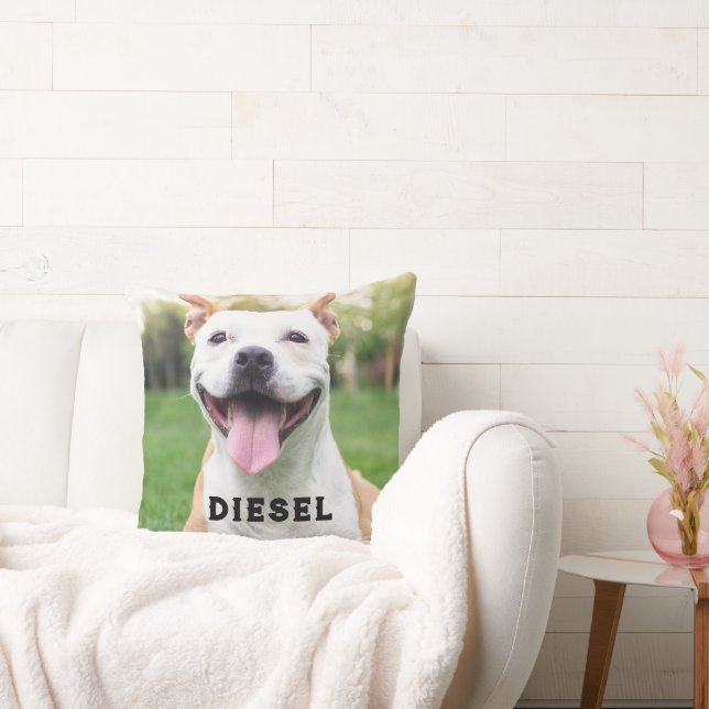 Mall, Hund eller förlust av katefoto Kudde (Soffa)