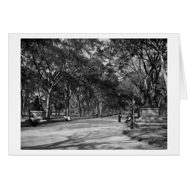 Mall i centrala parken i New York City Hälsningskort (Framsidan Horizontal)