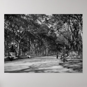 Mall i centrala parken i New York City Poster