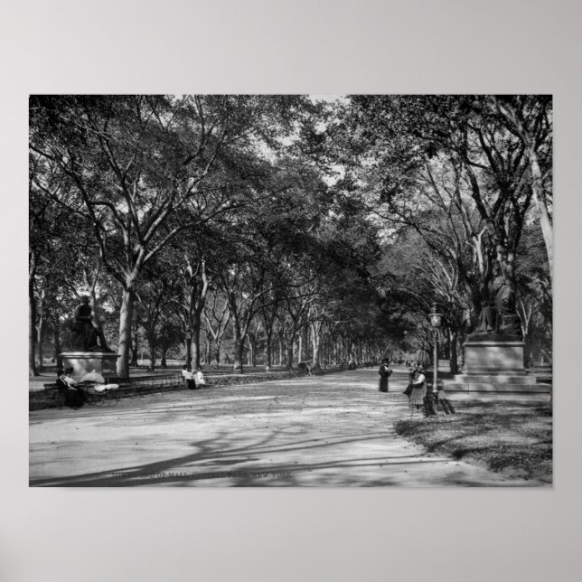 Mall i centrala parken i New York City Poster (Framsidan)