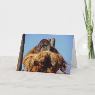 Mall-kort för Orangutan Grattis på födelsedagen Kort