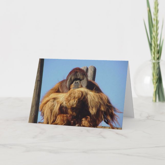Mall-kort för Orangutan Grattis på födelsedagen Kort (Framsida)
