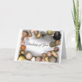 Mall över havsgränsen för Snäcka