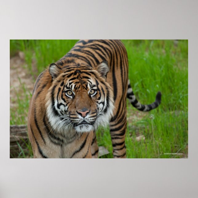 mall poster (Framsidan)