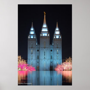 Mall reflekterad poster