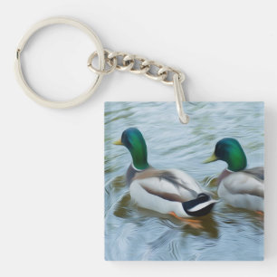 Mallard Anka
