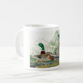 Mallard Anka, 1834, från amerikanska fåglar Kaffemugg