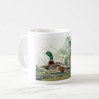 Mallard Anka, 1834, från amerikanska fåglar Kaffemugg