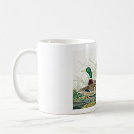 Mallard Anka, 1834, från amerikanska fåglar Kaffemugg