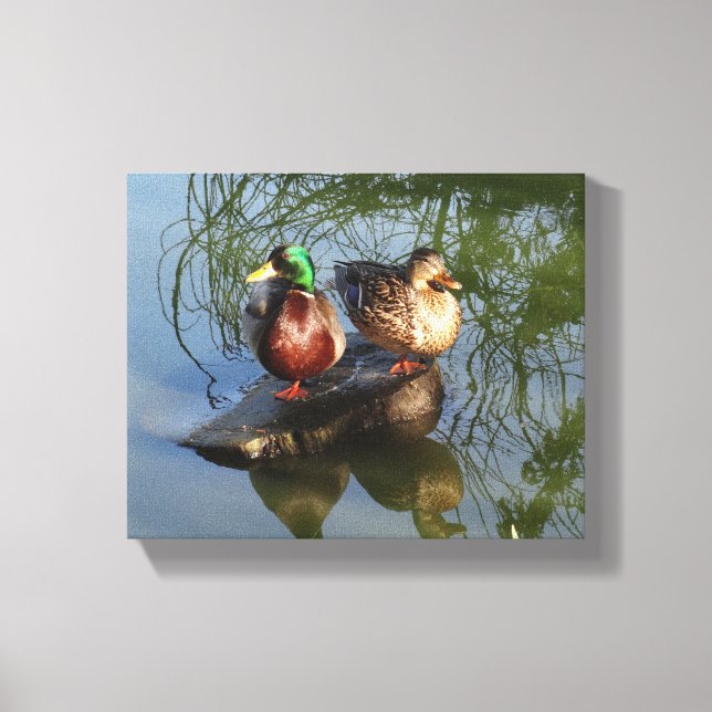Mallard Anka #2 Canvas (Framsida)