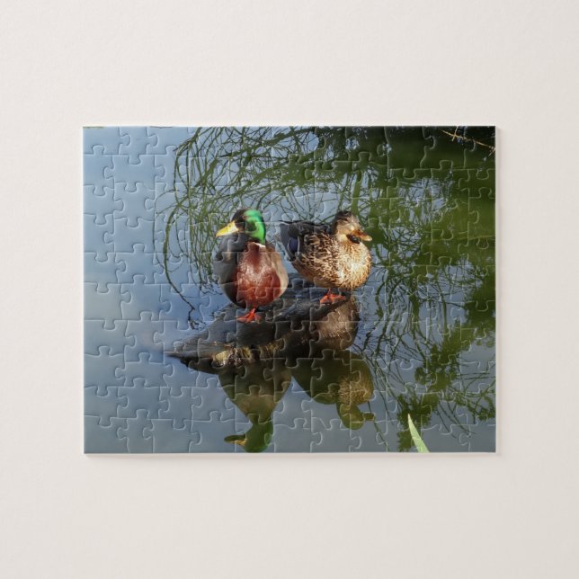 Mallard Anka #2 Jigszle Puzzle Pussel (Horisontell)