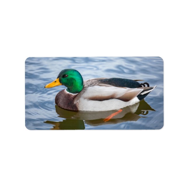 Mallard Anka Adressetikett (Framsidan)