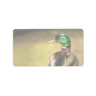 Mallard Anka Adressetikett