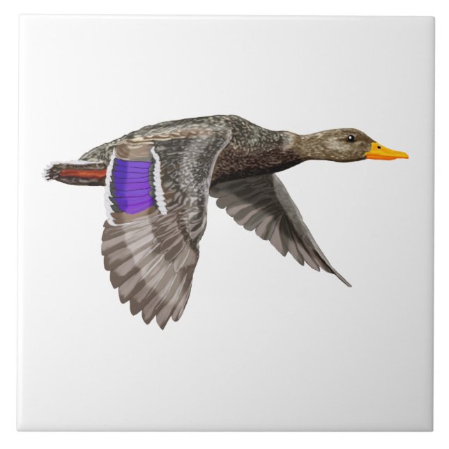 Mallard Anka Älskare Kakelplatta (Framsidan)