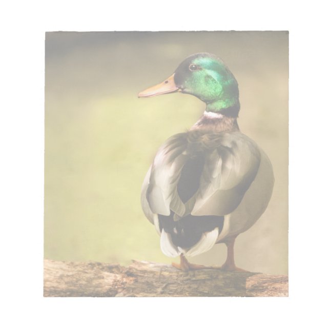 Mallard Anka Anteckningsblock (Framsida)