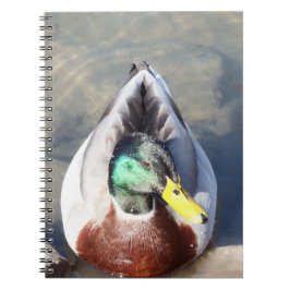 Mallard Anka Anteckningsbok