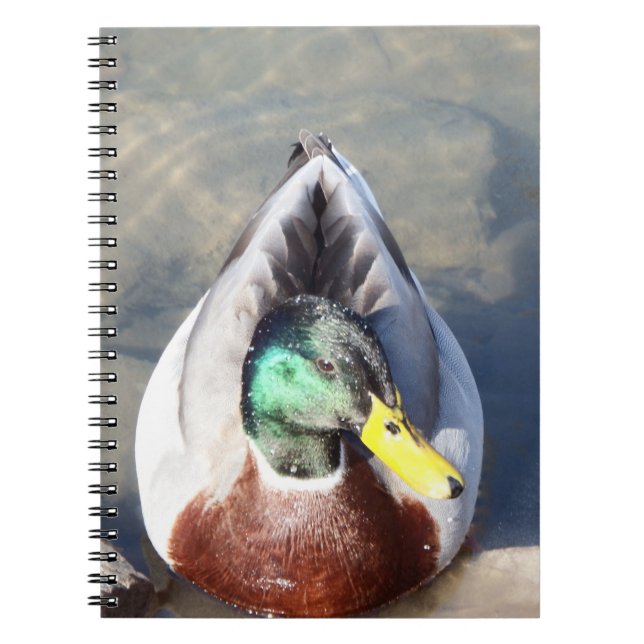 Mallard Anka Anteckningsbok (Framsidan)