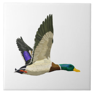 Mallard Anka Areff Kakelplatta