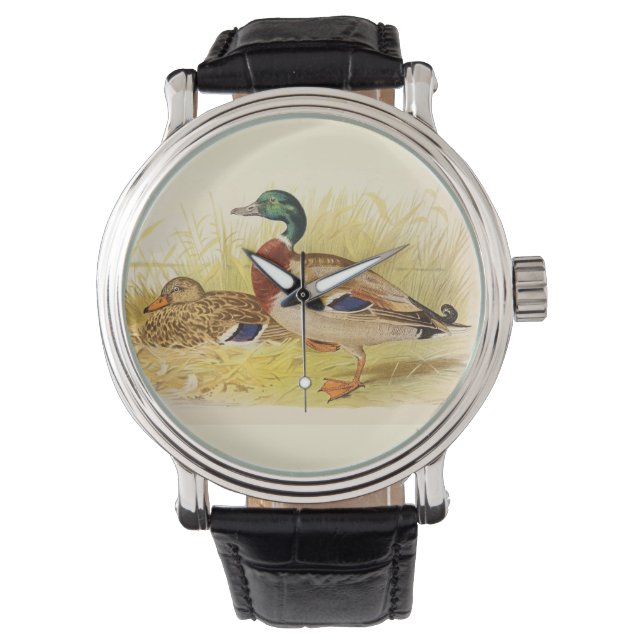 Mallard Anka Armbandsur (Framsida)