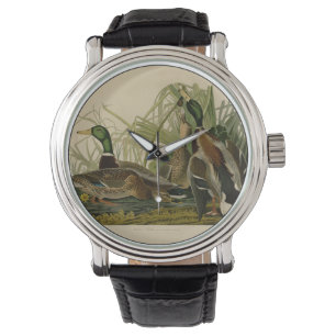 Mallard Anka Audubon Bird Painting Armbandsur