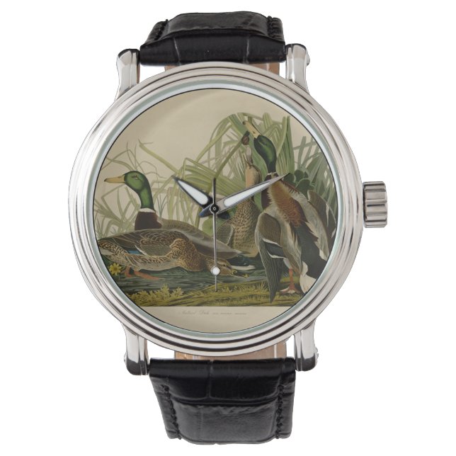 Mallard Anka Audubon Bird Painting Armbandsur (Framsida)