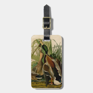 Mallard Anka Audubon Bird Painting Bagagebricka