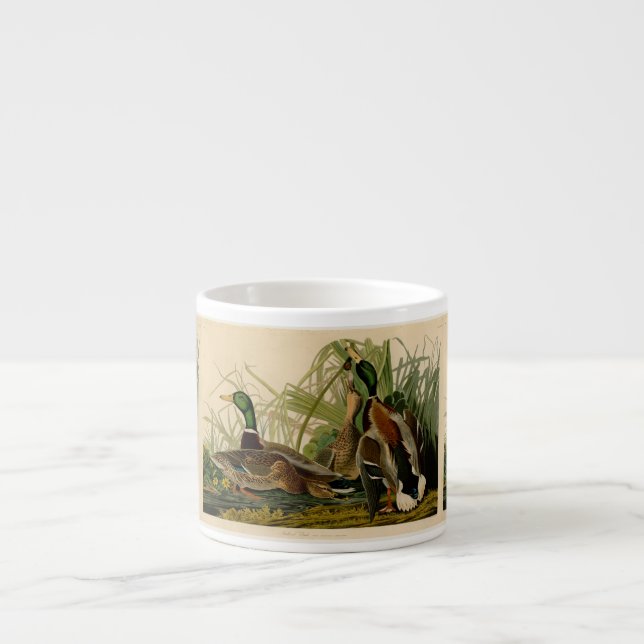 Mallard Anka Audubon Bird Painting Espressomugg (Framsidan)